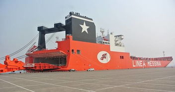 物流装卸学问深 人力装卸搬运详解与实践智慧