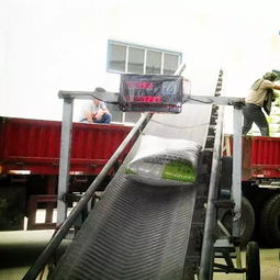 码头装卸的革新之路 从人力搬运到输送机作业的成本与效率解析